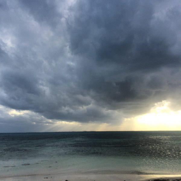 Go-To Tips: Uncertain Times and What You Can Do to Help