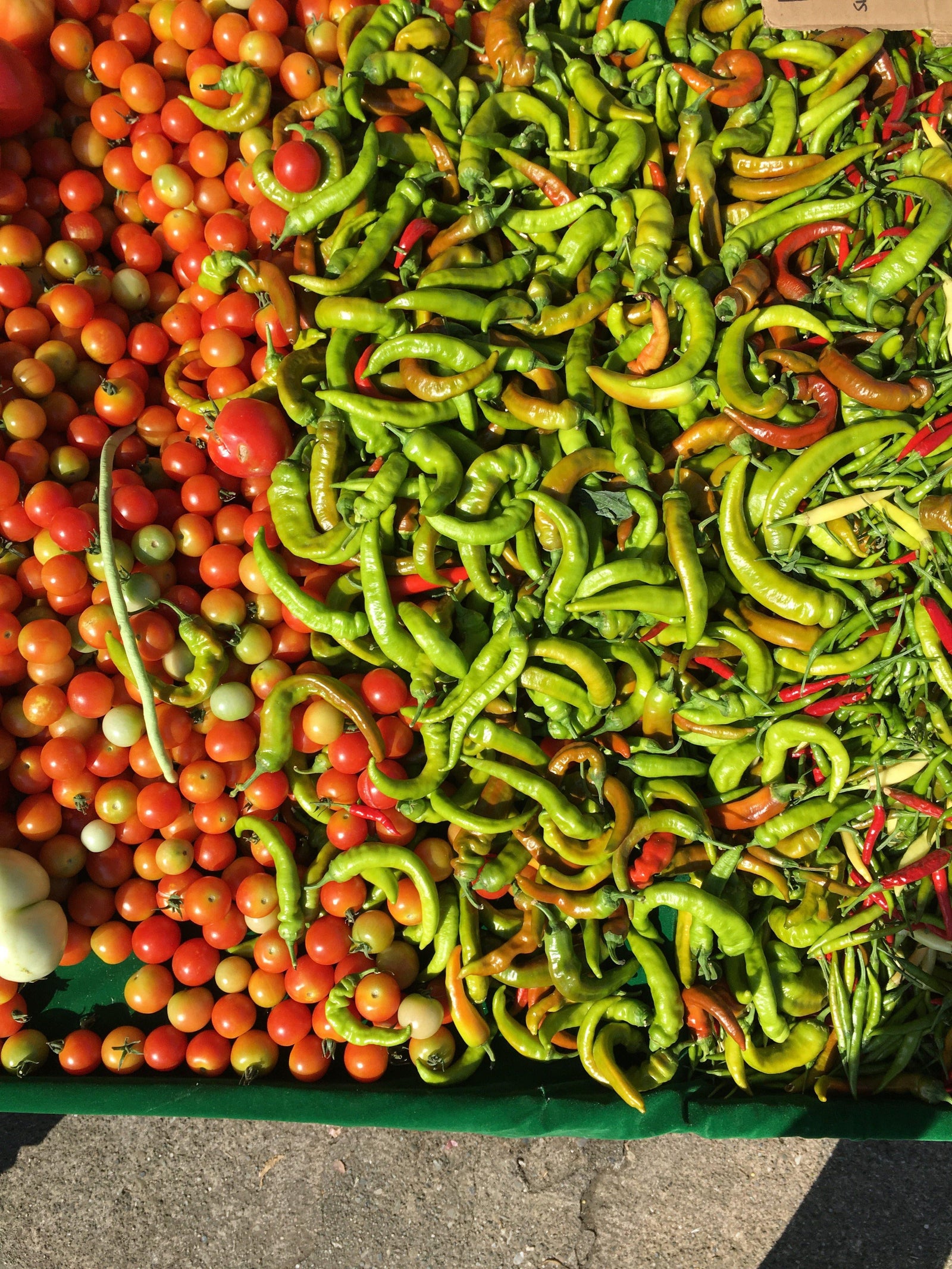 Summer Recipe Spotlight: Tomatoes