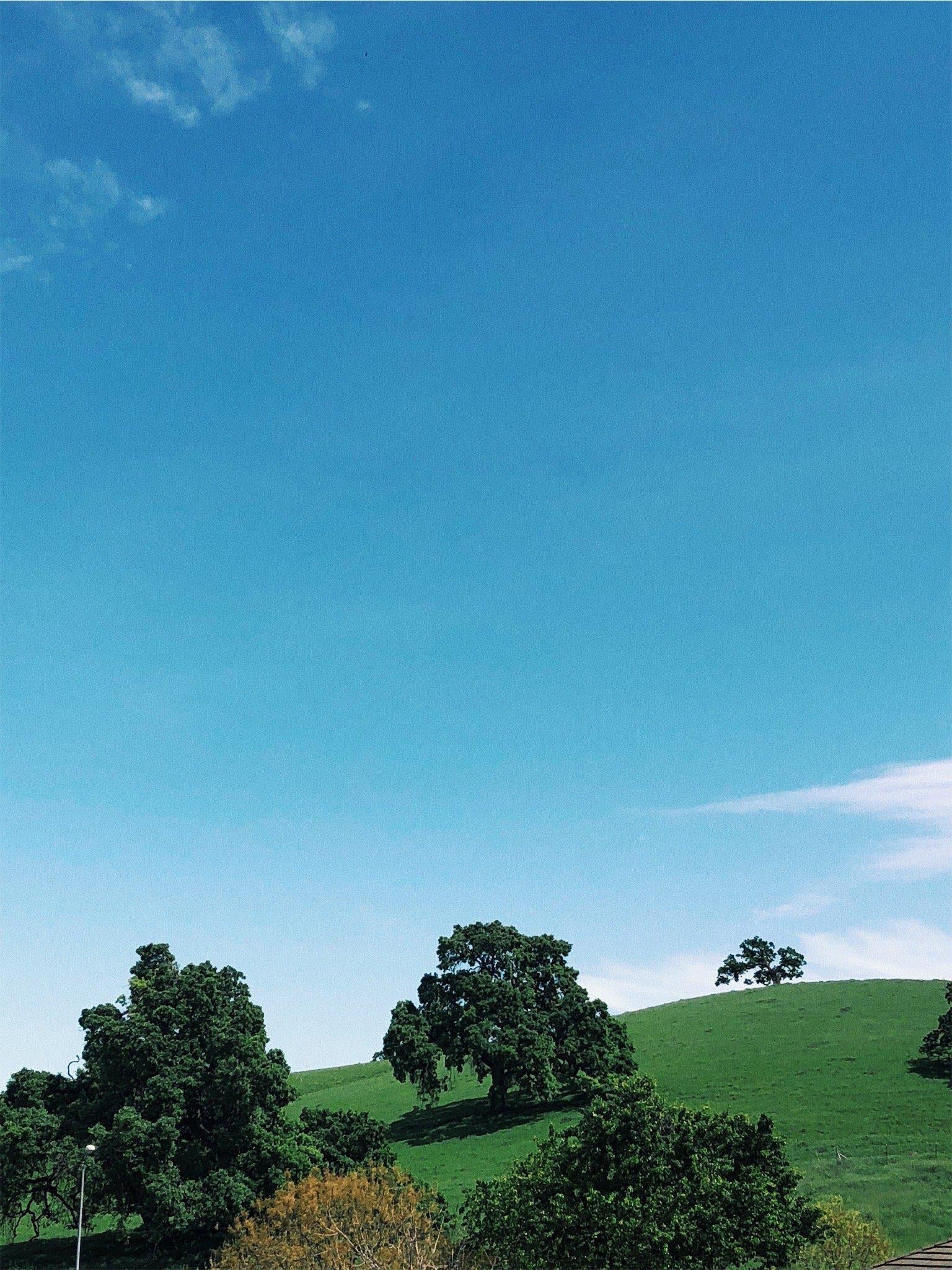 Checking In: How are You?