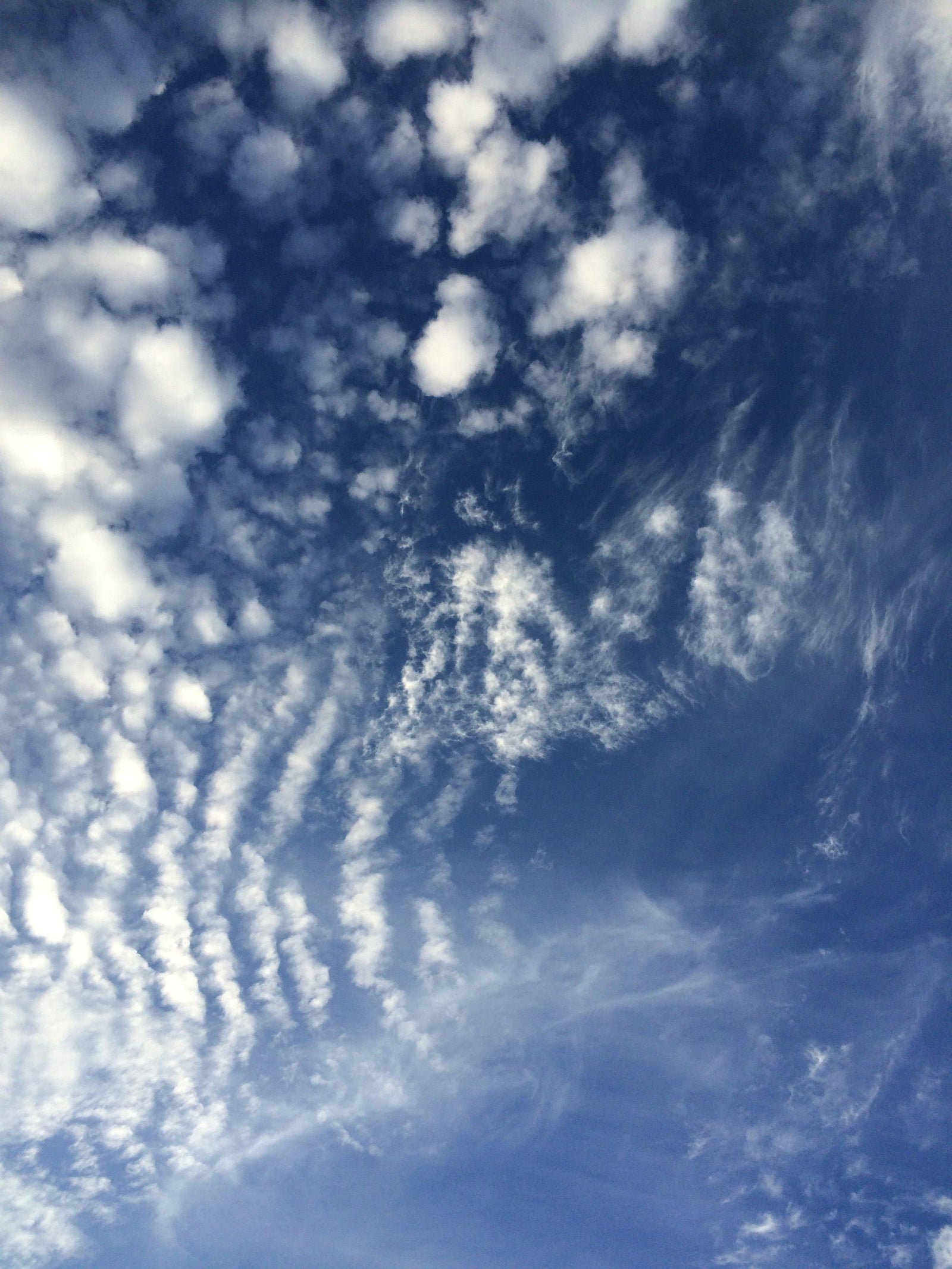 Self Care Tip: Daydreaming