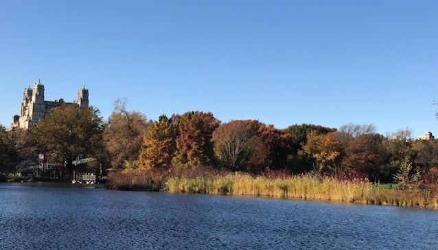 Where to Go? What to Eat? Manhattan, NY with Magpie