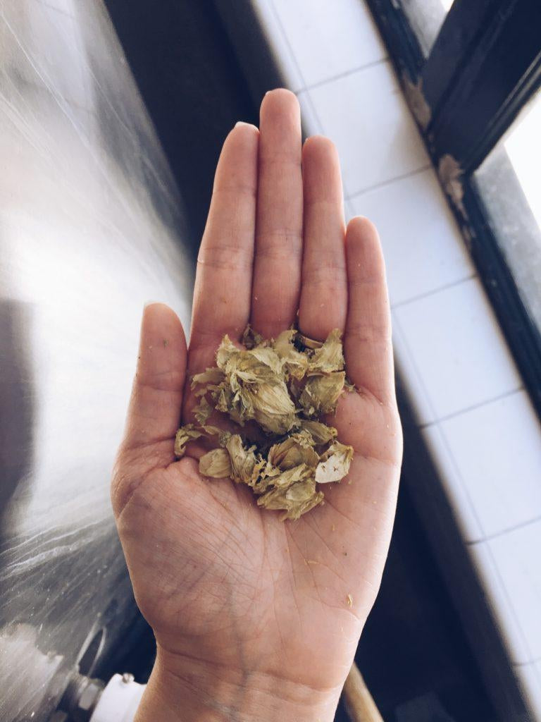 Etta + Billie Events: Etta + Billie x Woods Beer Co. Party