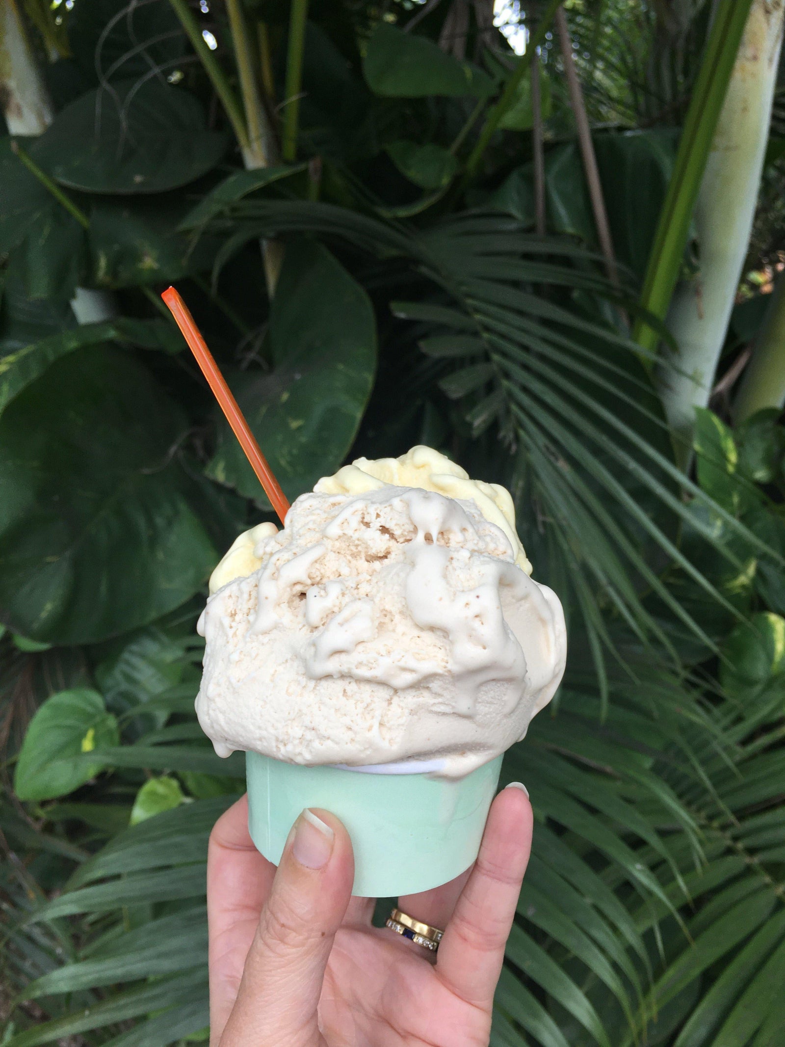 Our Favorite Ice Cream Flavors