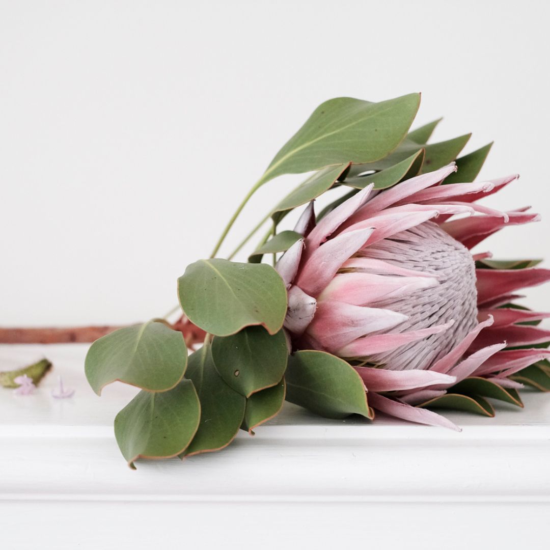 Non-Traditional Ways to Celebrate Valentine’s Day!