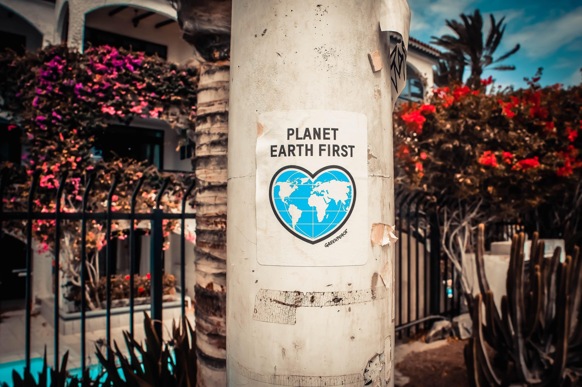 How To Celebrate Earth Day, Every Day