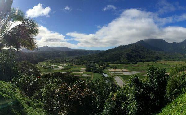 Where to Go? What to Eat? Kauai Travel Guide
