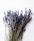 5 Reasons You Should Plant Lavender In Your Garden