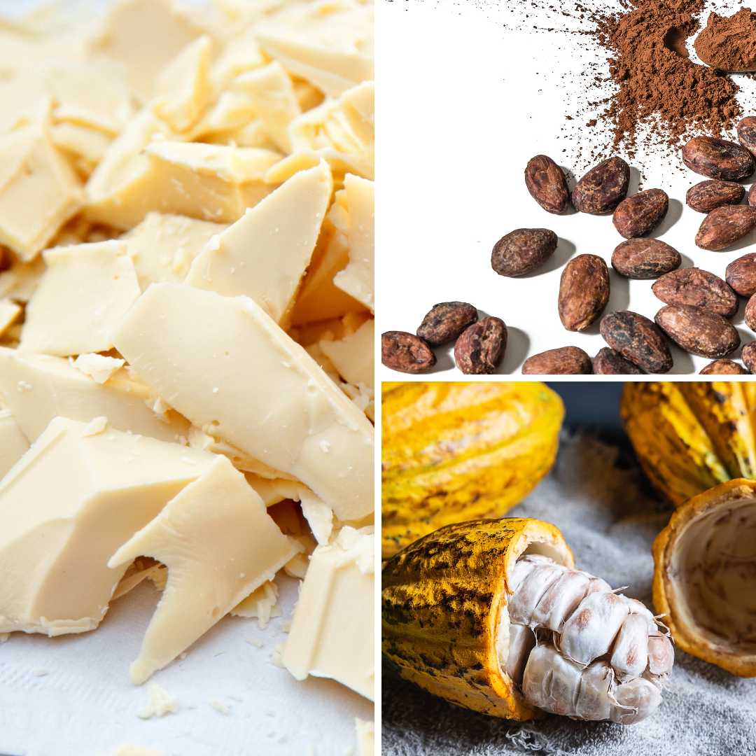Various Forms of Cocoa