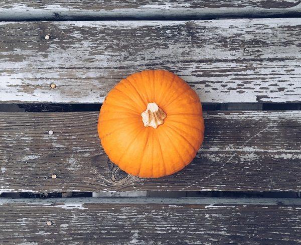 Go-To Tips: Fall Activities and Treats