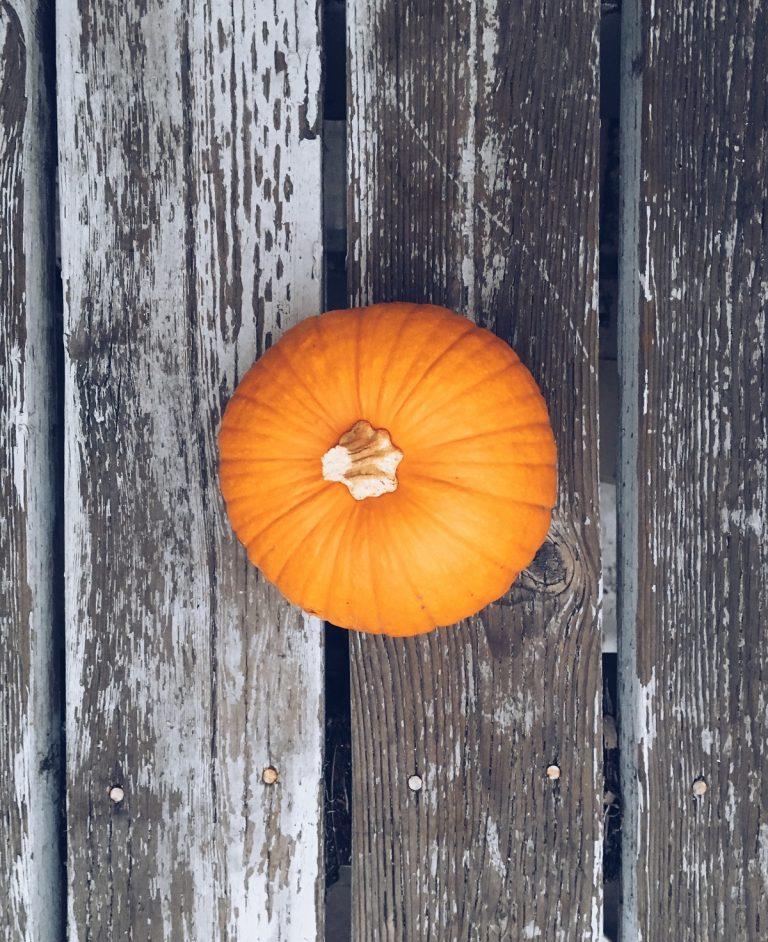 A Few Festive Ways to Celebrate Fall