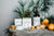 Evergreen Drinks+Eats!
